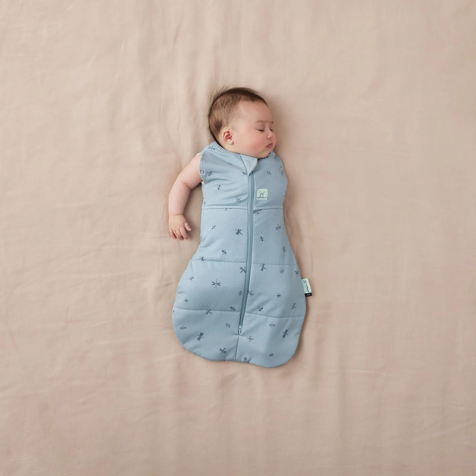 ergoPouch Cocoon Swaddle Bag 3.5 TOG - Dragonflies